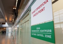 В 2024 году таможенники аэропорта Кольцово при контроле багажа пассажиров выявили 1300 нарушений