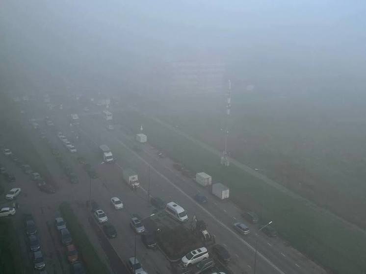 Новгородцев предупредили о сильном тумане утром 28 января