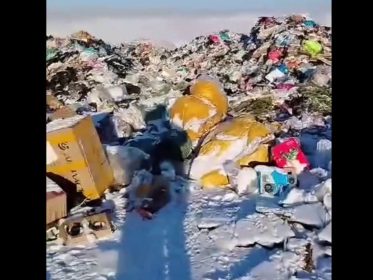 Почти все полигоны для ТКО стали стихийными свалками в Забайкалье