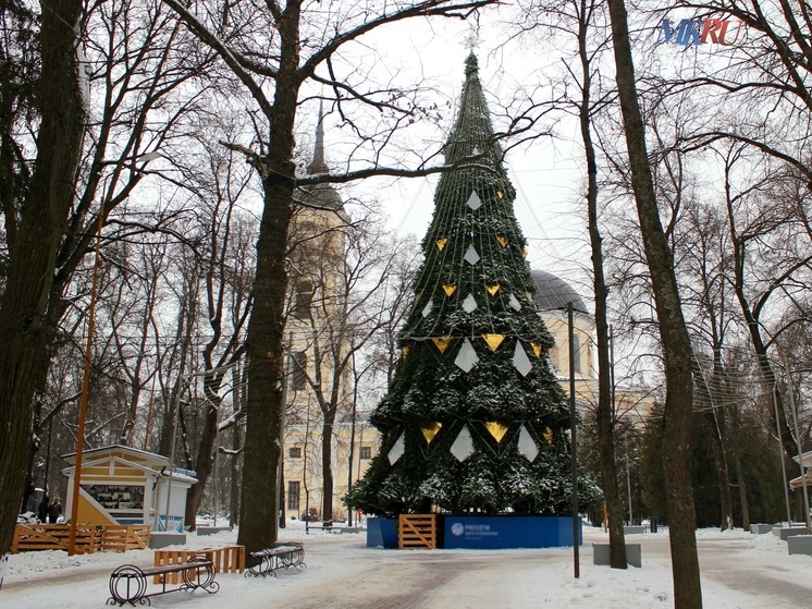 В Калуге демонтировали 20 городских ёлок