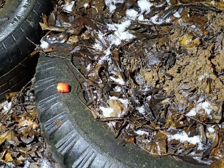 В Донецке задержали кладменов