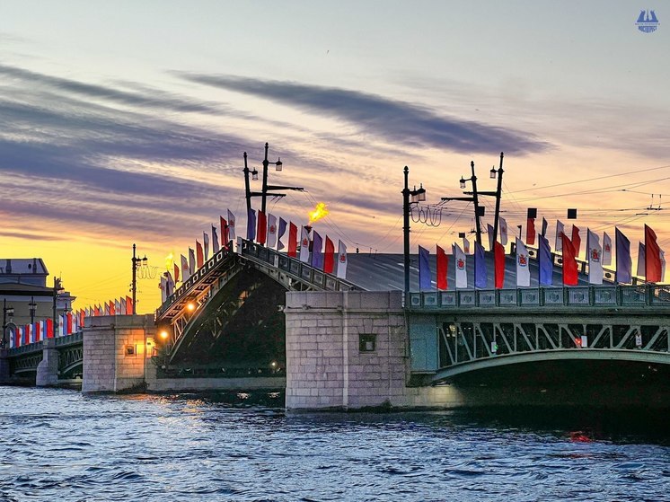 Петербуржцев предупредили о внеплановой разводке Дворцового моста в ночь на 29 января