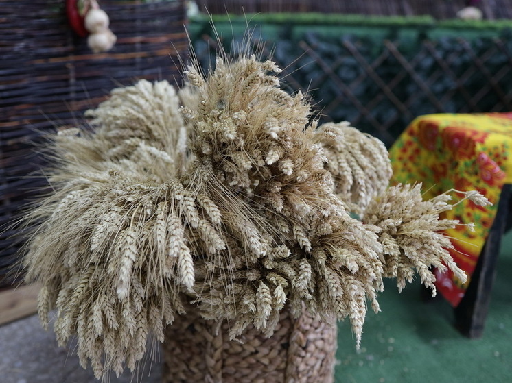 Эксперт Злочевский рассказал о негативном влиянии сошедшего снега на урожай зерна