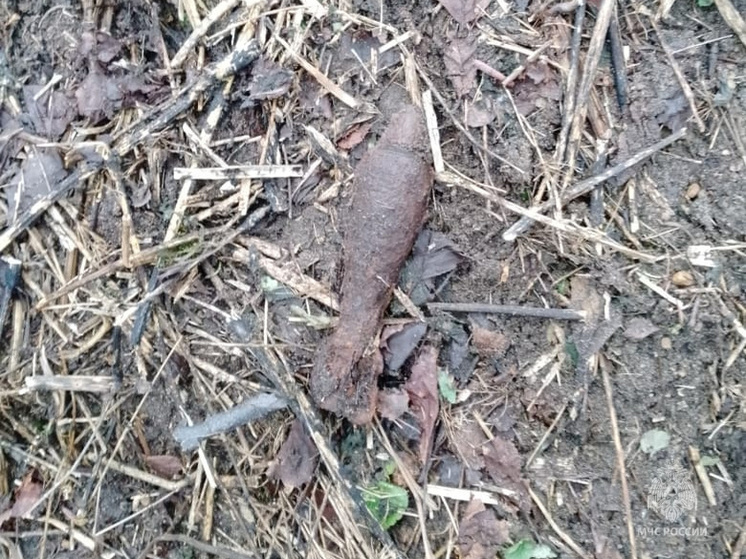 У Бушмановского пруда в Калуге нашли миномётную мину