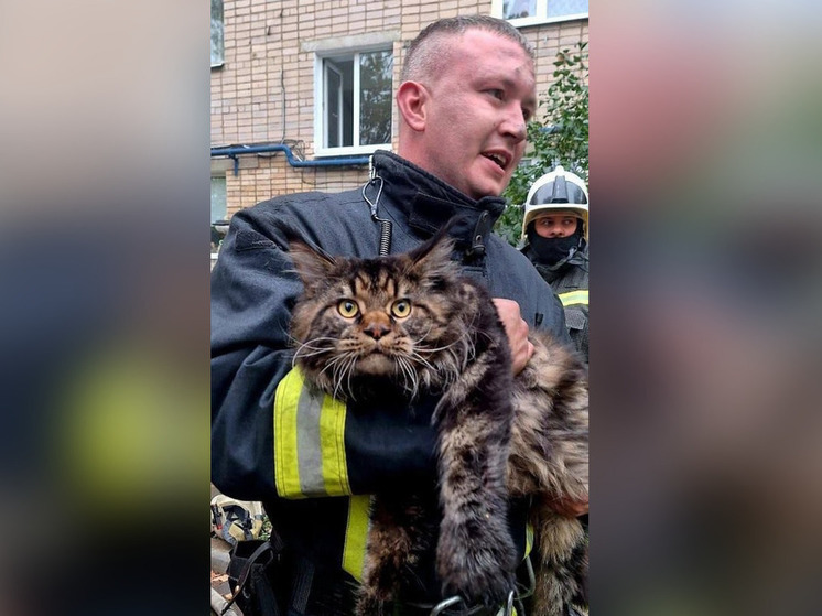 Новгородский пожарный вошел в ТОП-5 голосования «Мой ласковый и нужный зверь»