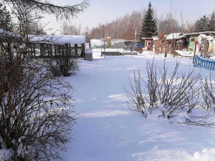 Февраль уже спешит в регион, что называется, на всех парах