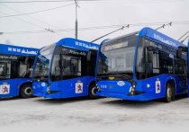 В Йошкар-Оле на двух автобусных маршрутах увеличилось количество машин.