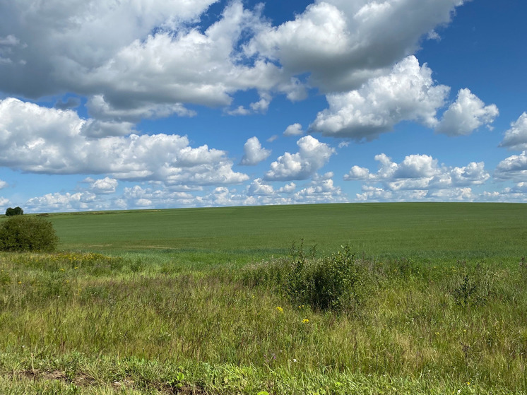 Жителей Калужской области научат защищать природу