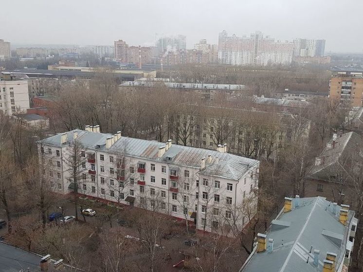 Завтра в Подмосковье ожидается пик январского потепления