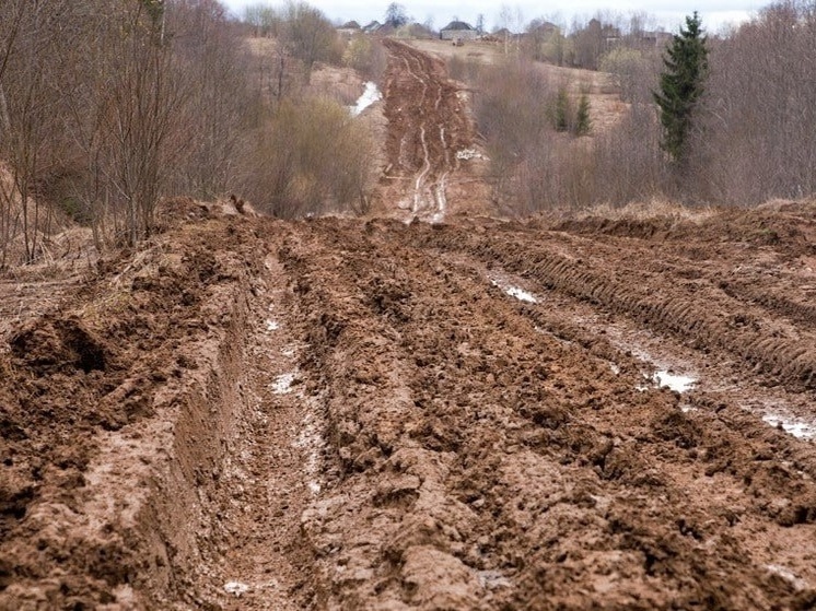 В Куньинском районе ограничили проезд грузового транспорта из-за размытых дорог