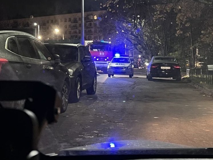 Авария на Лесном проспекте унесла жизни двух человек