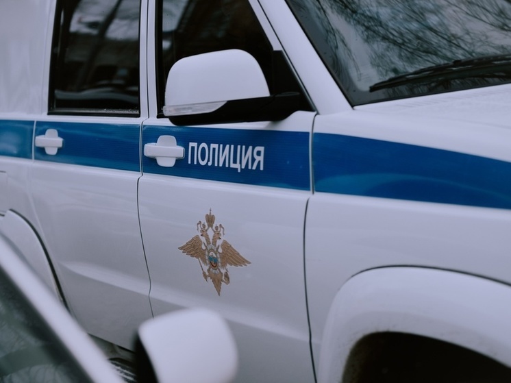 Ограбившего томичку мужчину нашли в рехабе в Новосибирской области