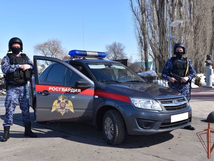 В Самарской области попавшего в яму автолюбителя из Белоруссии спасли росгвардейцы