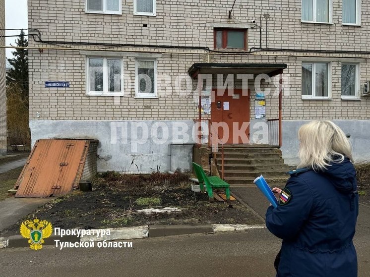 Прокуратура Новомосковска начала проверку после видео со стаями бродячих собак