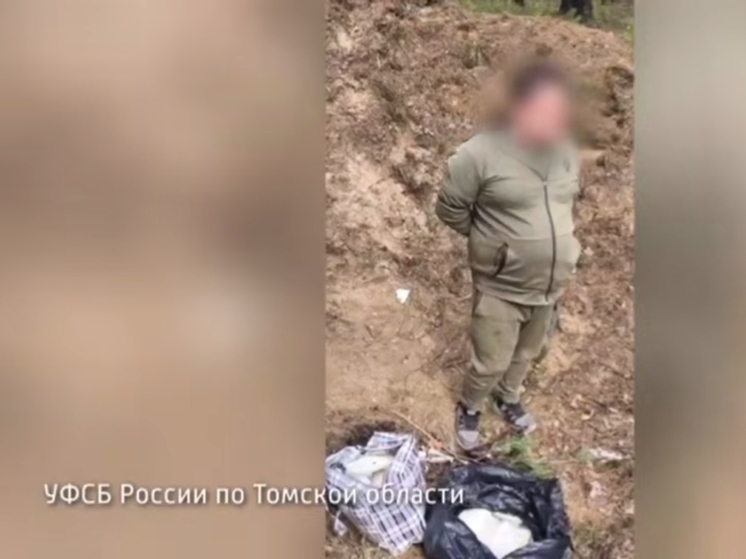 В Томской области мужчина получил 6 лет за перевозку 14 килограмм мефедрона