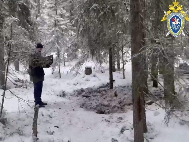 Тело пропавшей ранее женщины нашли в Костомукше