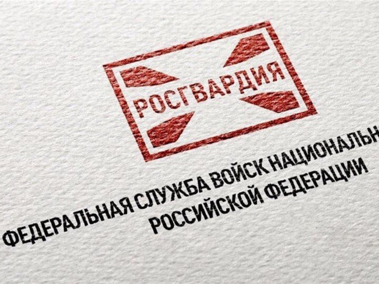 Псковичам напомнили о возможности сдачи зарегистрированного оружия за вознаграждение