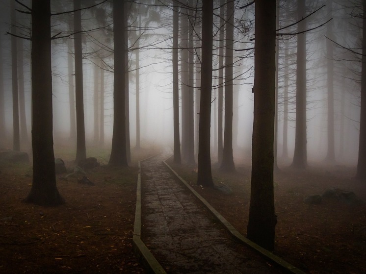 В Калужской области сохраняется весенняя погода
