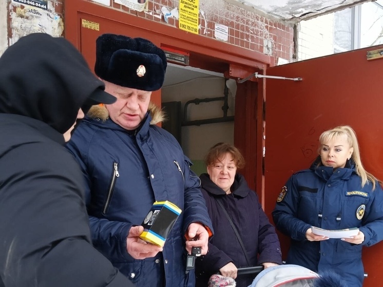 Многодетные семьи в Волосово получили в подарок пожарные извещатели