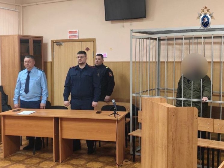 В Курской области арестован мужчина, подозреваемый в убийстве 67-летней сестры