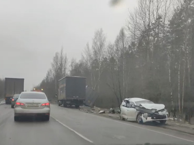 Появилось видео с места крупного ДТП под Тверью