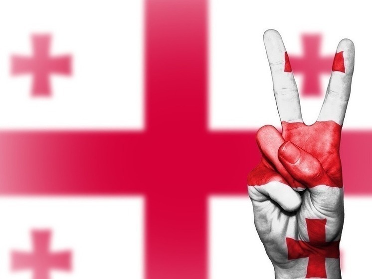 Грузия остановила работу в ПАСЕ после требований провести новые выборы