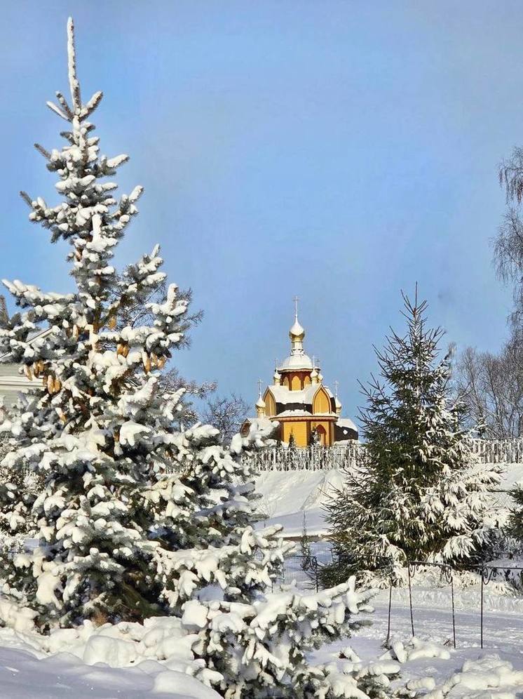 Февраль-2025 в Нижнем Новгороде будет теплее многолетних значений