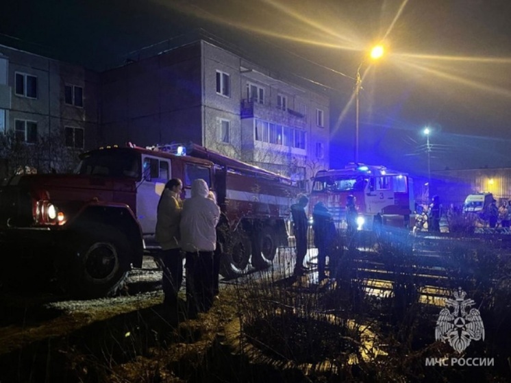 В Суздальском районе в пожаре погиб мужчина