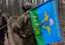 В Курской области освобождено село Николаево-Дарьино на границе с Сумской областью Украины