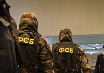 Пресс-служба Федеральной службы безопасности сообщила о задержании в Московской области гражданина РФ, подозреваемого в причастности к серии диверсий по заданию Службы безопасности Украины