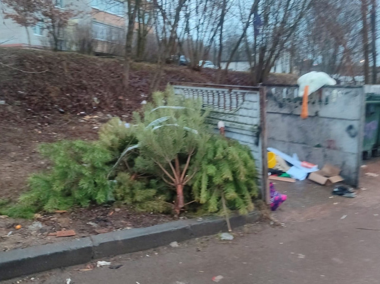 Калужские помойки заполонили новогодние ели