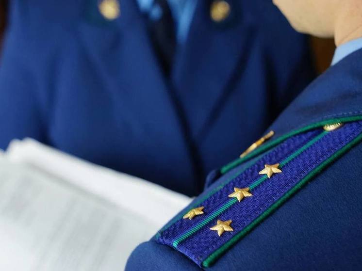 В Калужской области запретили информацию о создании электроудочек