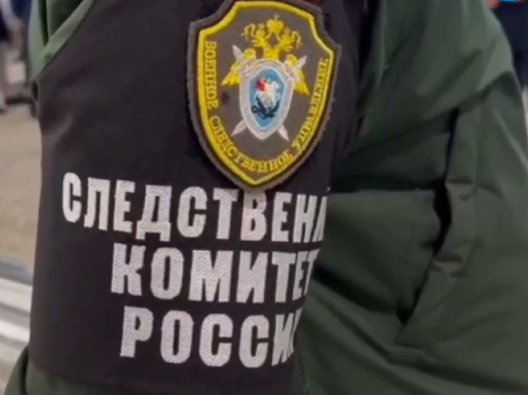 Третье уголовное дело возбуждено по факту нападения таксиста-мигранта на девушку