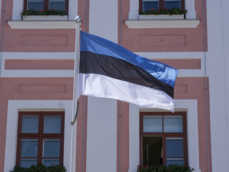 Власти Эстонии предупредили о возможном исчезновении электричества на 72 часа