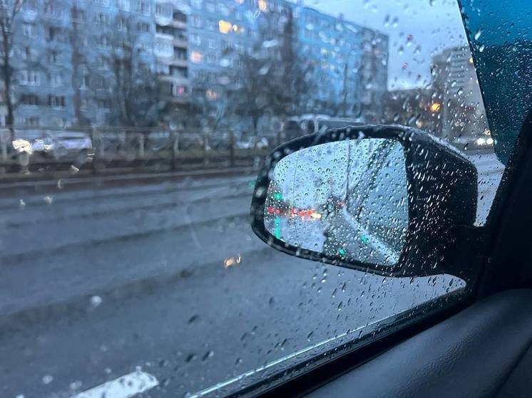 Петербург добился снижения количества ДТП с участием пьяных водителей