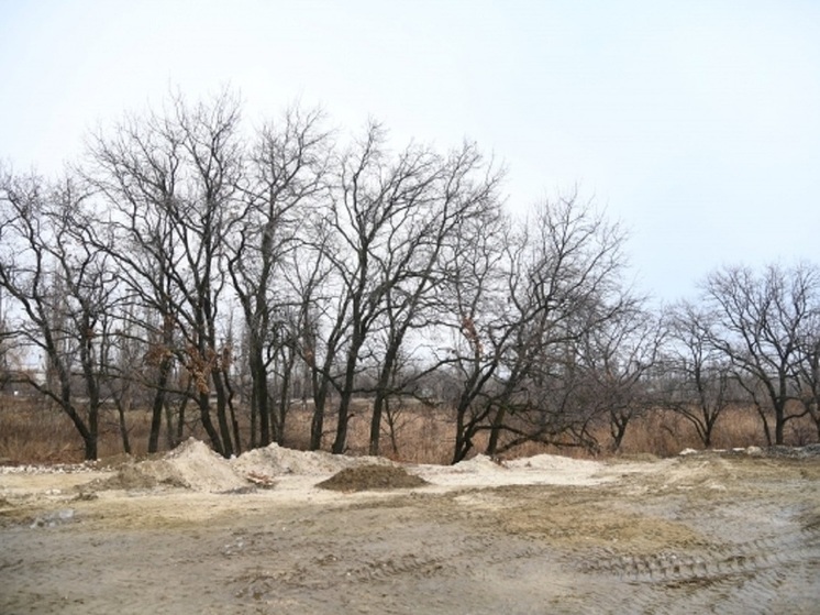 В Волгоградской области обнаружили фрагменты БПЛА