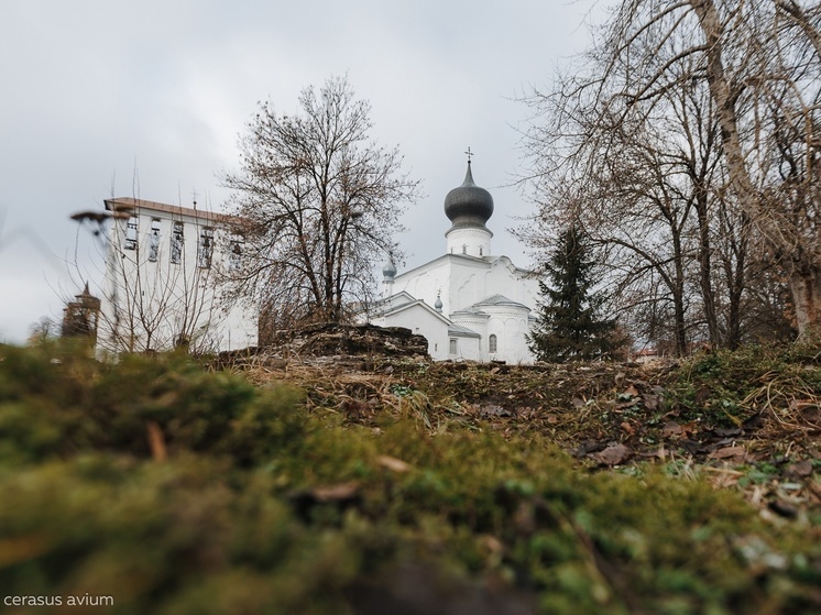 Метеочувствительным псковичам стоит сделать поправку на атмосферное давление