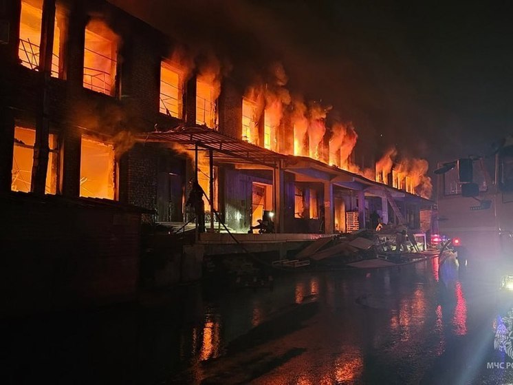 В Буденновском районе Донецка ликвидирован крупный пожар