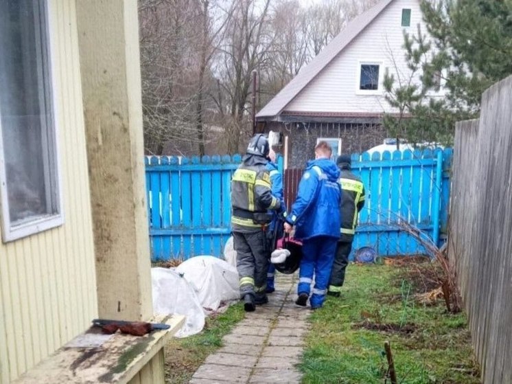 Женщину с признаками инсульта спасли в Подмосковье