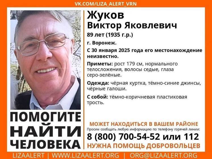 Поисково-спасательный отряд разыскивает 89-летнего воронежца с пластиковой тростью