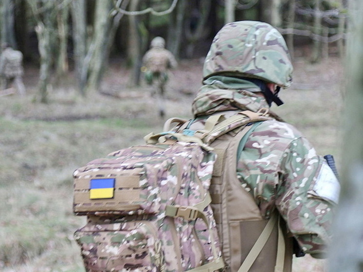 Боевик ВСУ перед гибелью под Курском искал в сети нюдсы и новости про переговоры