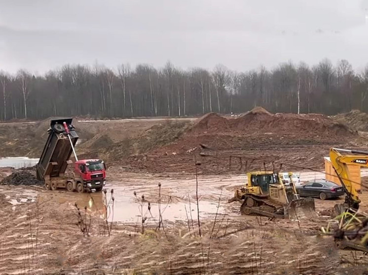 В Новгородском районе самосвалами возили мусор на незаконную свалку