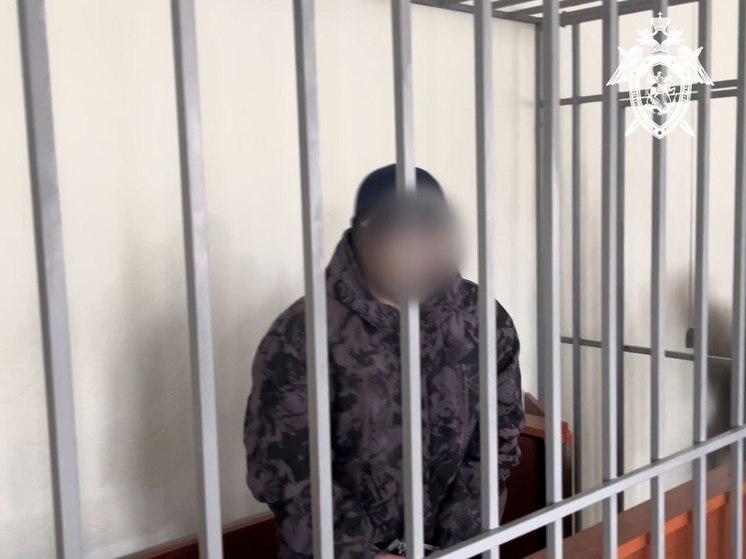 Мужчина угрожавший в Чувашии полицейским оружием взят под стражу