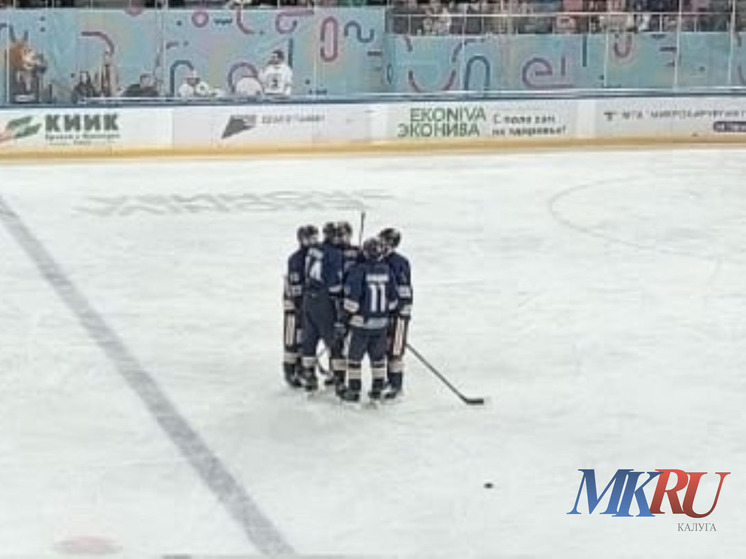 Калужские хоккеисты проиграли в домашнем матче