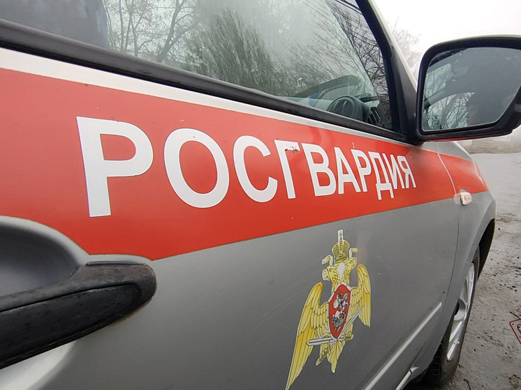 Курские росгвардецы задержали хулигана, устроившего ночной дебош в гостинице