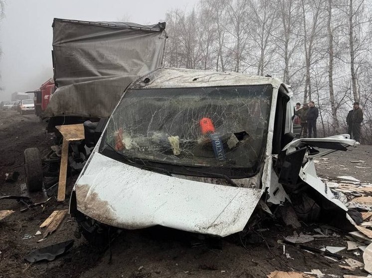 В Воронежской области за сутки произошло 91 ДТП