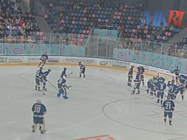 Калужские хоккеисты взяли реванш на втором матче с Брянском