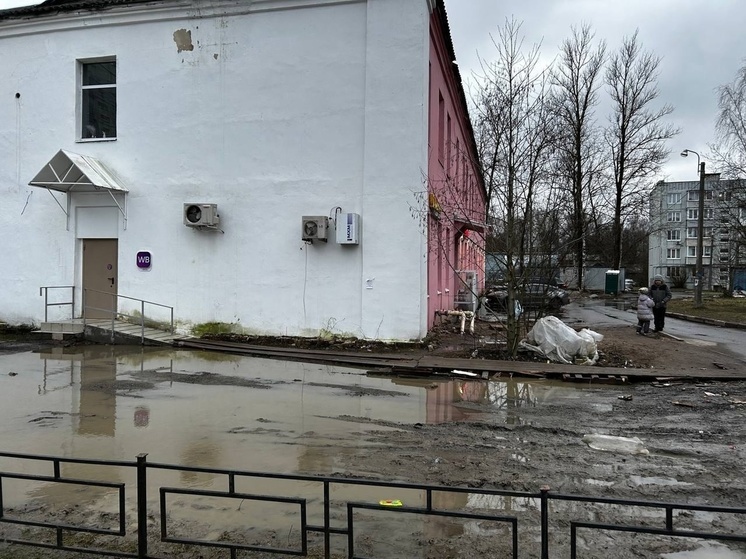 В Петербурге мужчина возил горожан за заказами с маркетплейсов на сапе