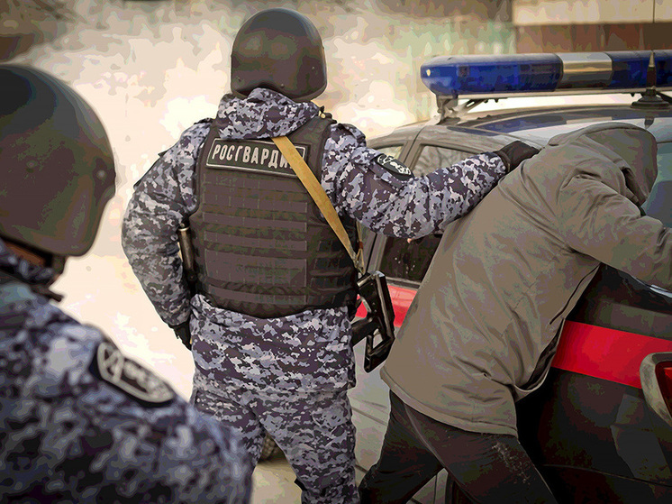 Топ-5 нелепых преступлений составили в Хакасии