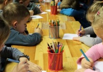 Инициативу депутата Госдумы позволить детям самостоятельно менять свои необычные имена поддержала Уполномоченный по правам ребенка в Московской области Ксения Мишонова
